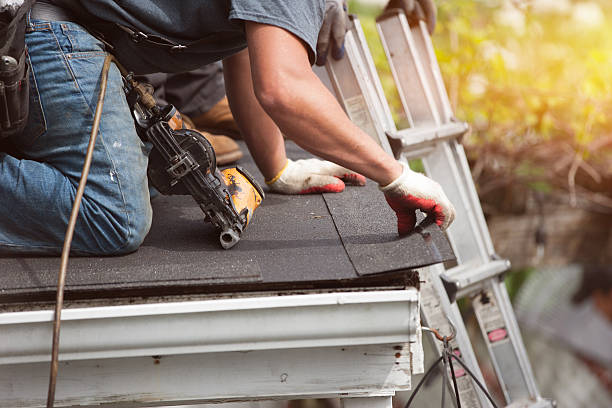 Professional Roofing Contractor in Pine Level, NC
